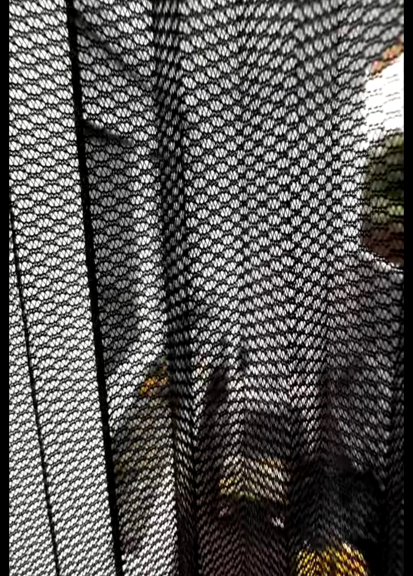 Bird and pigeon net installation in Surat